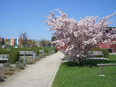 Apartamento de vacaciones en Bayerbach (Niederbayern)Casa de vacaciones