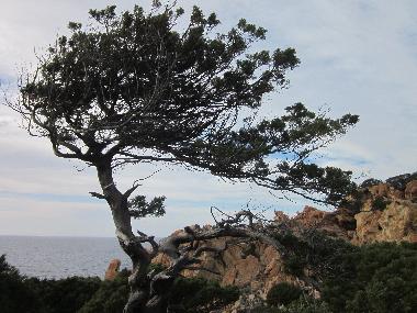 Apartamento de vacaciones en Trinit� d