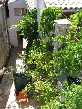 Apartamento de vacaciones en Sinarades (Kerkyra)Casa de vacaciones