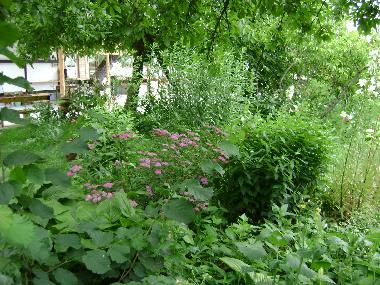 Cama y desayuno en Horezu (Valcea)Casa de vacaciones