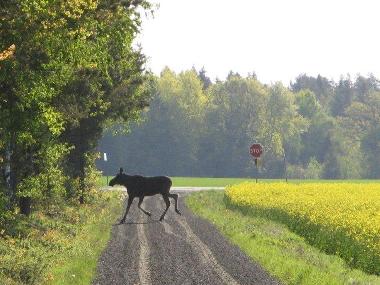 Casa de vacaciones en Vara (V�sterg�tland)Casa de vacaciones