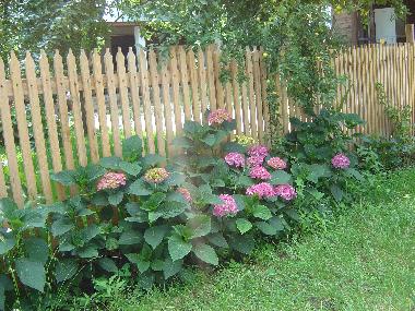 Cama y desayuno en Horezu (Valcea)Casa de vacaciones