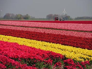 Casa de vacaciones en Groet (Noord-Holland)Casa de vacaciones