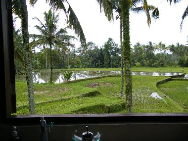 Villa en UBUD (Bali)Casa de vacaciones