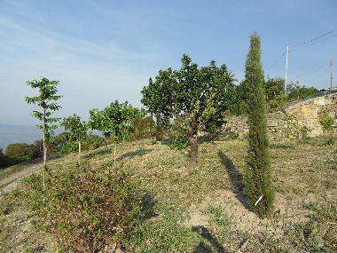 Villa en Piani Cipressa (Imperia)Casa de vacaciones