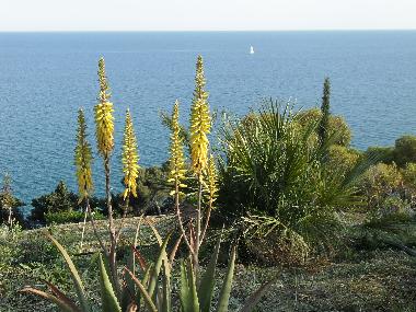 Villa en Piani Cipressa (Imperia)Casa de vacaciones