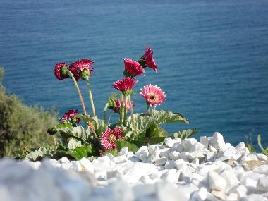 Villa en Piani Cipressa (Imperia)Casa de vacaciones