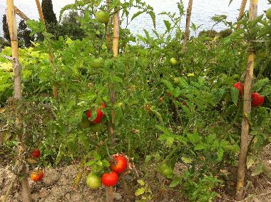 Villa en Piani Cipressa (Imperia)Casa de vacaciones