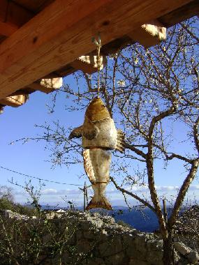 Casa de vacaciones en Sali (Zadarska)Casa de vacaciones