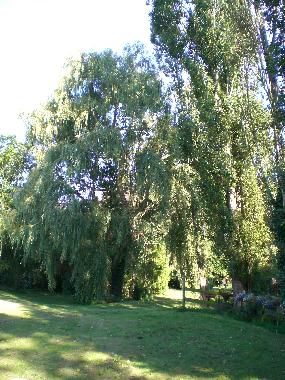 Casa de vacaciones en Bois de Cn (Vende)Casa de vacaciones