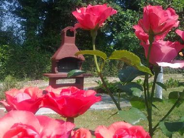 Casa de vacaciones en Pula, banjole (Istarska)Casa de vacaciones