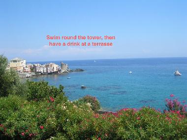 Apartamento de vacaciones en Erbalunga Cap corse (Haute-Corse)Casa de vacaciones