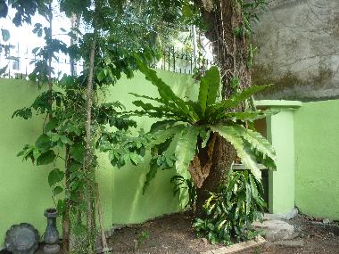 Casa de vacaciones en Dehiwala (Colombo)Casa de vacaciones