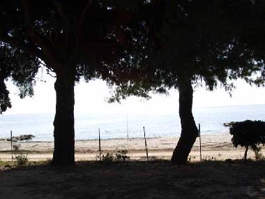 Cama y desayuno en Nikiti (Chalkidiki)Casa de vacaciones