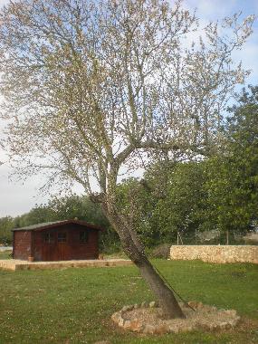 Casa de vacaciones en Porreres (Mallorca)Casa de vacaciones