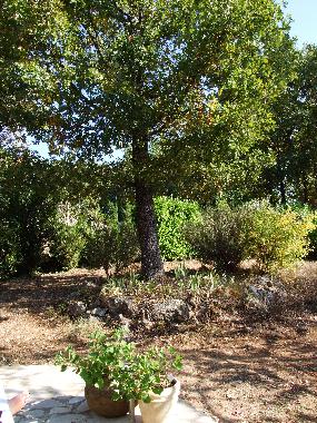 Casa de vacaciones en St. Cezaire-sur-Siagne (Alpes-Maritimes)Casa de vacaciones