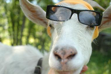 Apartamento de vacaciones en vielsalm (Wallonia)Casa de vacaciones