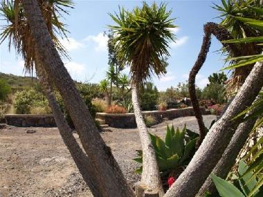 Apartamento de vacaciones en Guia de Isora (Teneriffa)Casa de vacaciones