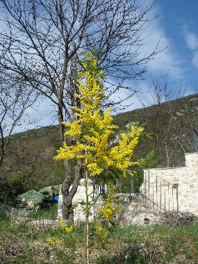 Apartamento de vacaciones en Terria (Ferentillo) (Terni)Casa de vacaciones