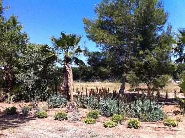 Chalet en Ibiza (Ibiza)Casa de vacaciones