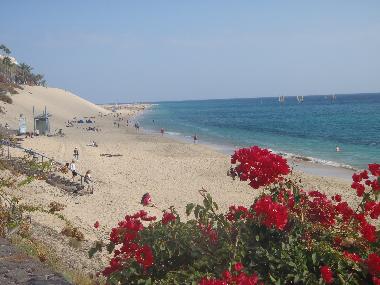 playa de Jand�a a 150 m. del apartamento