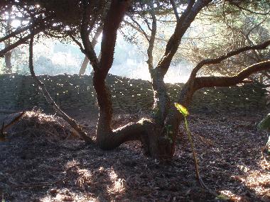 Apartamento de vacaciones en Sintra (Grande Lisboa)Casa de vacaciones