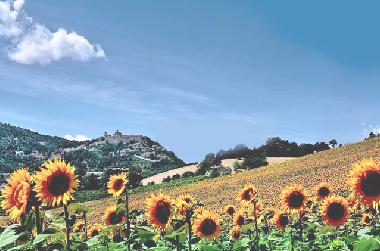 Casa de vacaciones en Loretello (Ancona)Casa de vacaciones