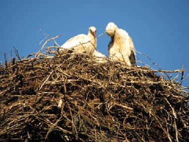Casa de vacaciones en at sea (Saaremaa)Casa de vacaciones