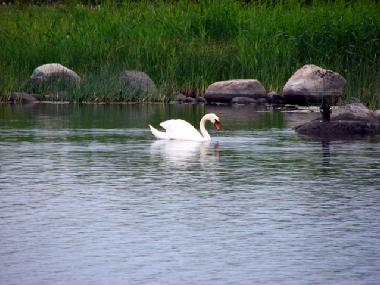 Casa de vacaciones en at sea (Saaremaa)Casa de vacaciones