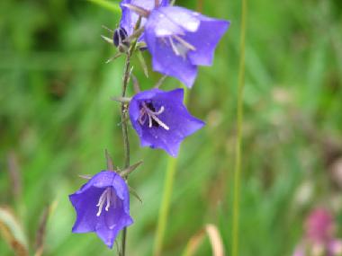 Casa de vacaciones en at sea (Saaremaa)Casa de vacaciones