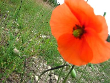 Casa de vacaciones en at sea (Saaremaa)Casa de vacaciones