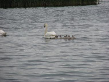 Casa de vacaciones en at sea (Saaremaa)Casa de vacaciones