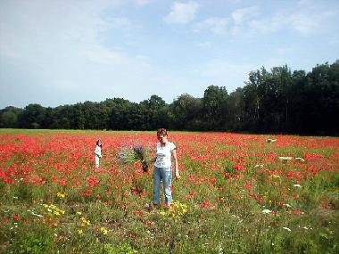 Casa de vacaciones en Rannak�la (Saaremaa)Casa de vacaciones