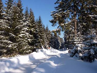 Apartamento de vacaciones en Klingenthal (Vogtland)Casa de vacaciones