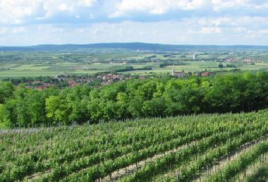 Apartamento de vacaciones en Zellerndorf (Weinviertel)Casa de vacaciones