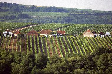 Apartamento de vacaciones en Zellerndorf (Weinviertel)Casa de vacaciones