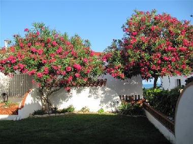 Casa de vacaciones en Benicarlo (Castell�n / Castell�)Casa de vacaciones