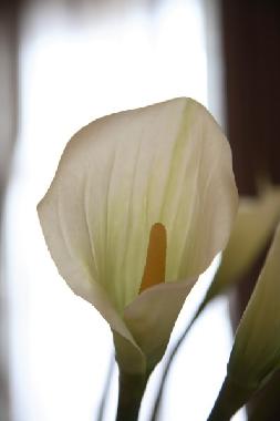 Apartamento de vacaciones en 25019 (Brescia)Casa de vacaciones