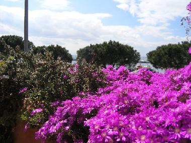 Casa de vacaciones en Rosas (Girona)Casa de vacaciones