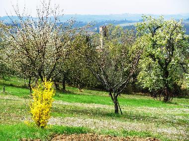 Casa de vacaciones en san casciano val di pesa (Firenze)Casa de vacaciones