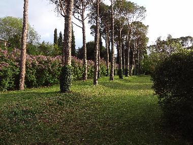 Palacio / Castillo en Campello sul Clitunno (Perugia)Casa de vacaciones