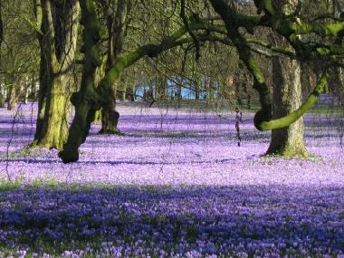 Casa de vacaciones en Hude (Nordsee-Festland)Casa de vacaciones