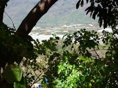 Casa de vacaciones en Los Llanos (La Palma und El Hierro)Casa de vacaciones