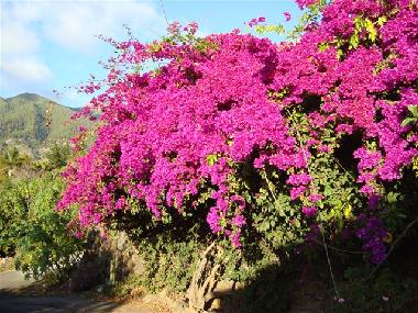 Casa de vacaciones en Los Llanos (La Palma und El Hierro)Casa de vacaciones