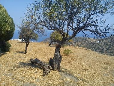 Casa de vacaciones en Sifnos (Kyklades)Casa de vacaciones