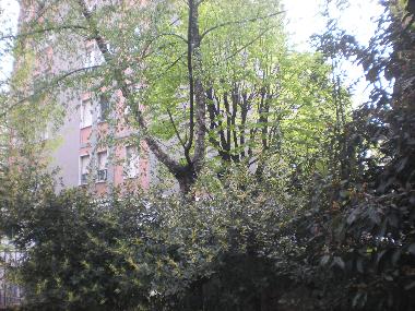 Apartamento de vacaciones en MILANO (Milano)Casa de vacaciones