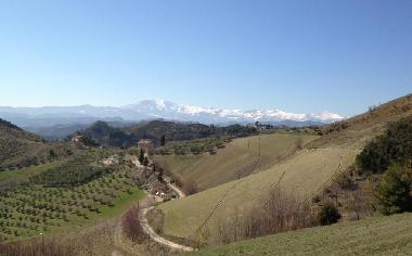 Cama y desayuno en Offida (Ascoli Piceno)Casa de vacaciones