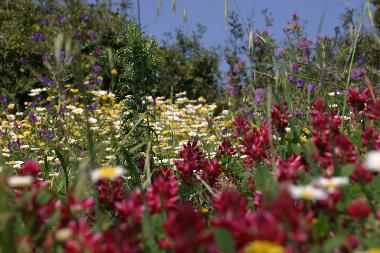 Apartamento de vacaciones en Rodi Milici (ME) (Messina)Casa de vacaciones