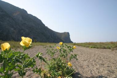 Apartamento de vacaciones en Rodi Milici (ME) (Messina)Casa de vacaciones