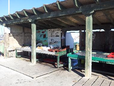 Apartamento de vacaciones en Le Barcares (Pyrnes-Orientales)Casa de vacaciones